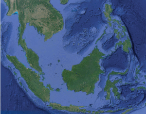 Online Lecture Homo erectus from the sea: new discoveries from the Sunda Shelf