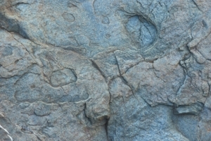 Radiocarbon Palaeolithic Europe Database