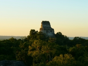 Field International Workshop on Paleopedology – Palenque, Mexico 19-25 February, 2026