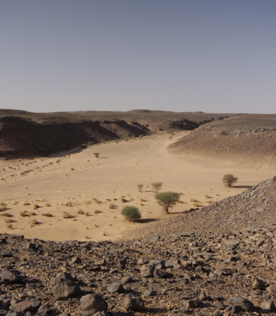 Terrestrial Processes, Deposits & History (TERPRO)