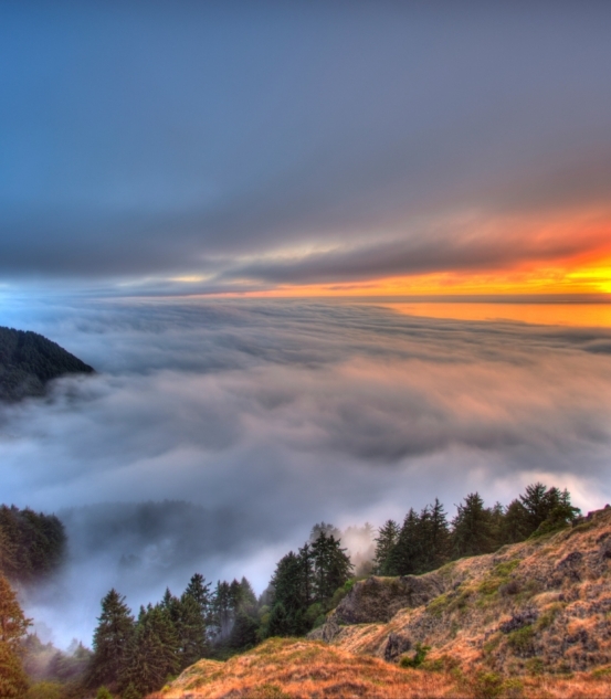 Palaeoclimate (PALCOM)