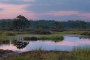 Call for applications IUBS-INQUA conference